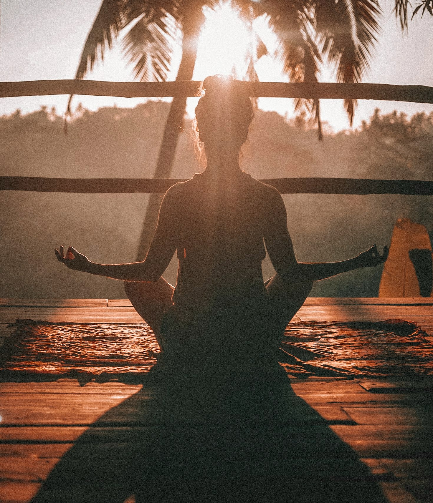 Building Resilience Through Classical Intellectual Habits